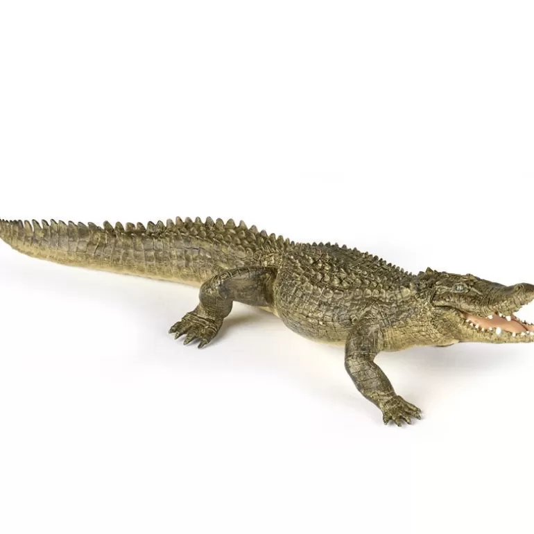 Papo Figurines Papo<Alligator, Figurine 50254