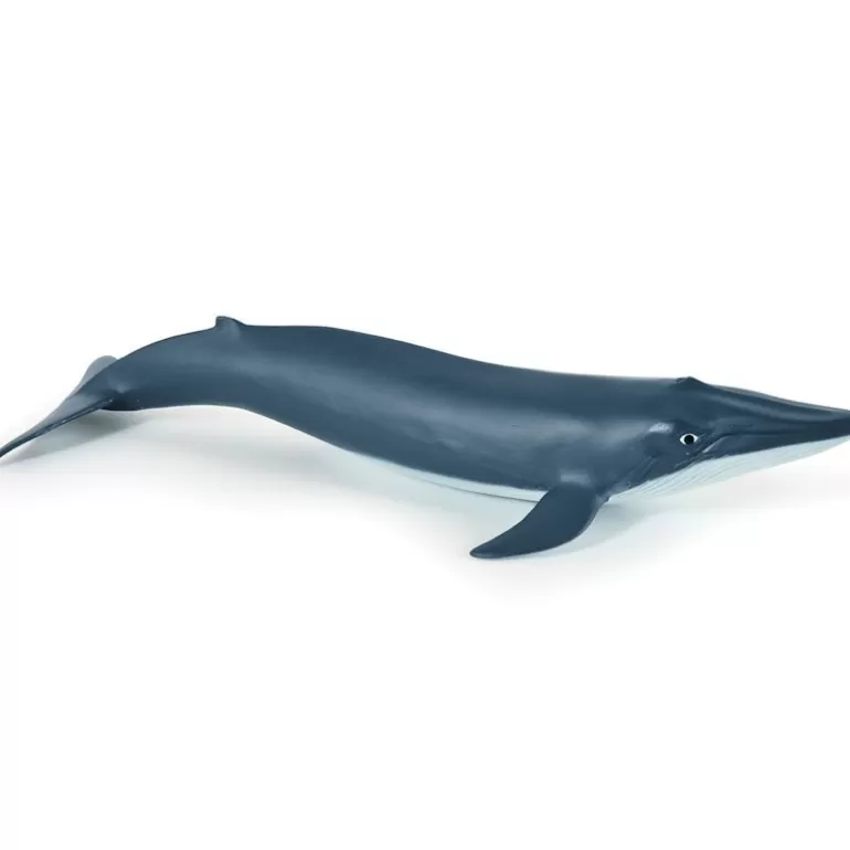 Papo Figurines Papo<Bebe Baleine Bleue, Figurine 56041