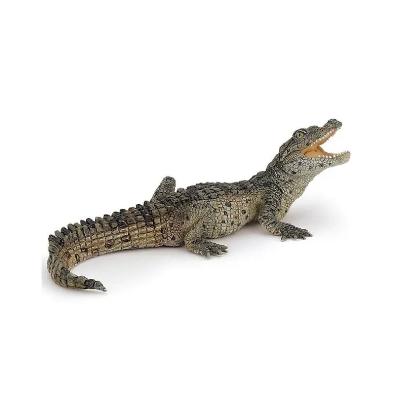 Papo Figurines Papo<Bebe Crocodile 50137