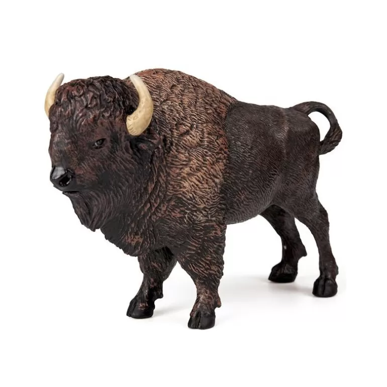 Papo Figurines Papo<Bison D'Amerique 50119