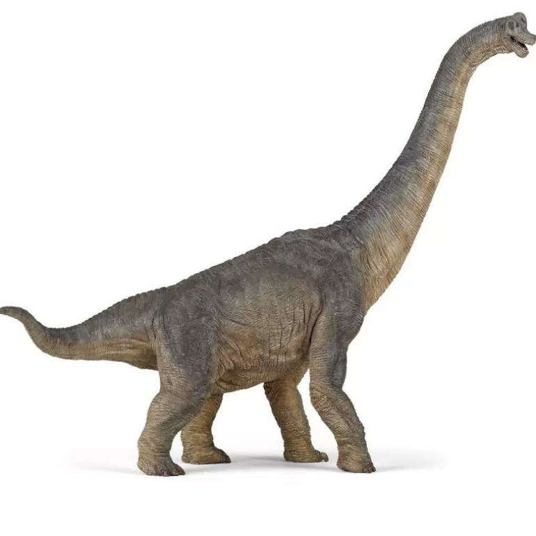 Papo Figurines Papo<Brachiosaure 55030