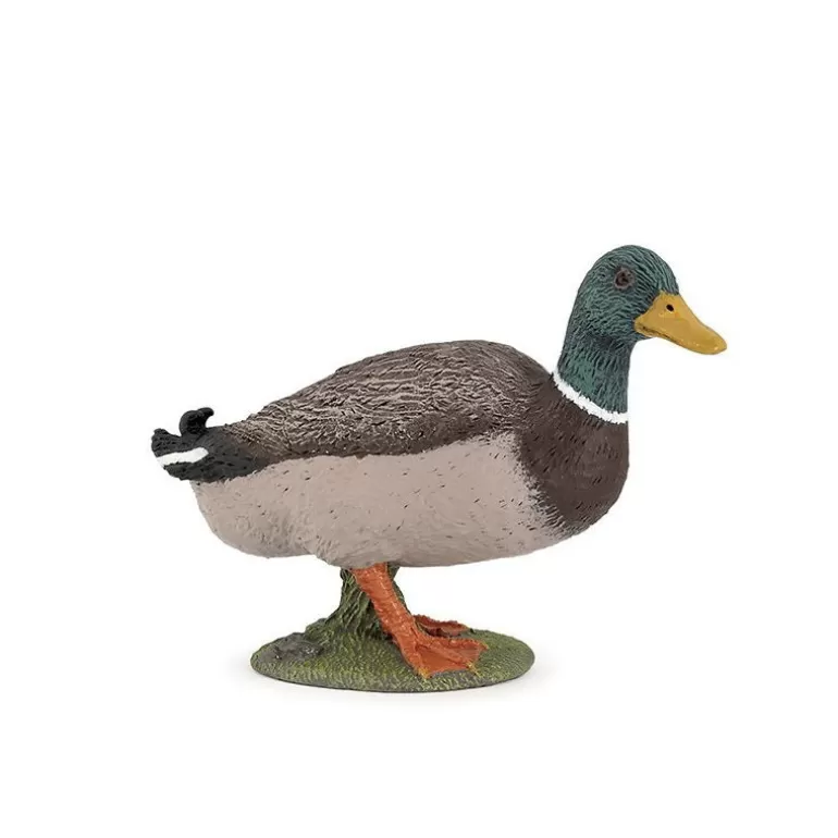 Papo Figurines Papo<Canard Colvert 51155