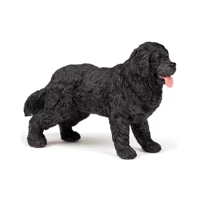 Papo Figurines Papo<Chien Terre-Neuve, Figurine 54018