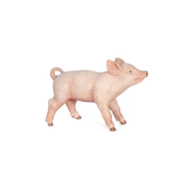 Papo Figurines Papo<Cochonnet Femelle, Figurine 51136