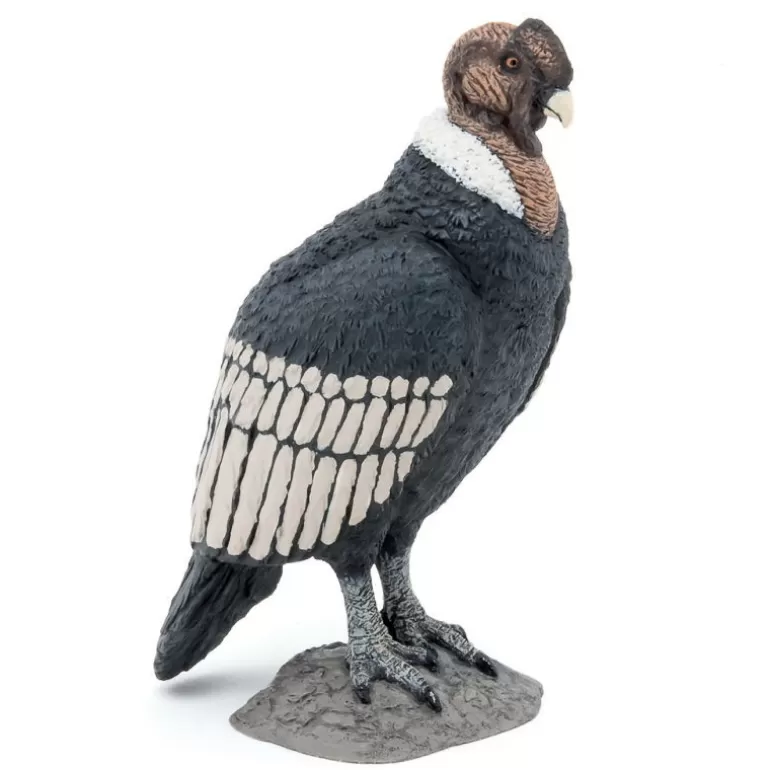 Papo Figurines Papo<Condor Des Andes, Figurine 50293