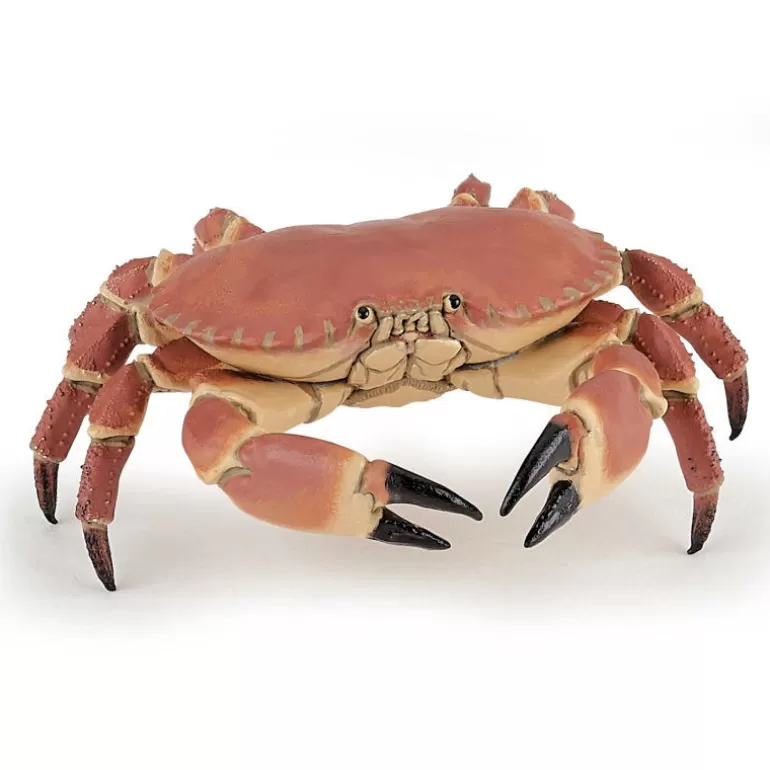 Papo Figurines Papo<Crabe, Figurine 56047