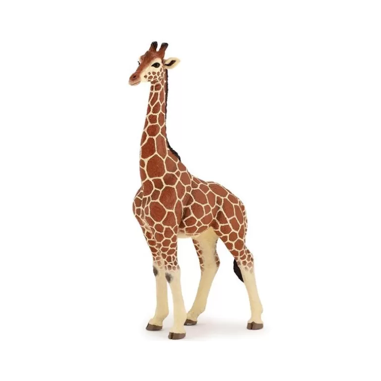 Papo Figurines Papo<Girafe Male 50149