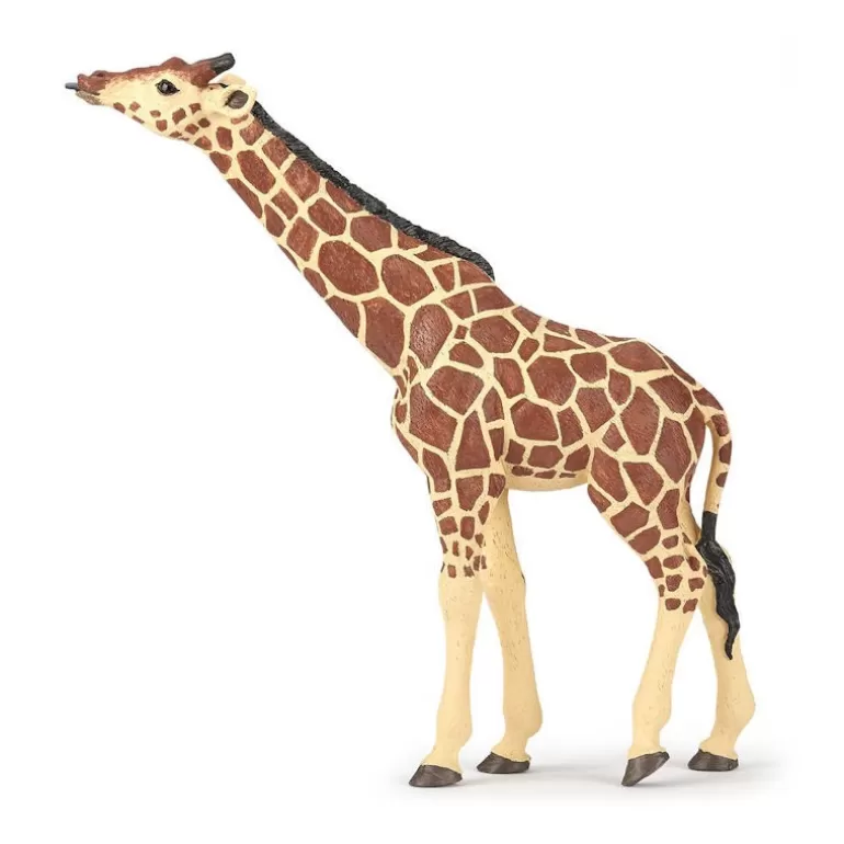 Papo Figurines Papo<Girafe Tete Levee, Figurine 50236