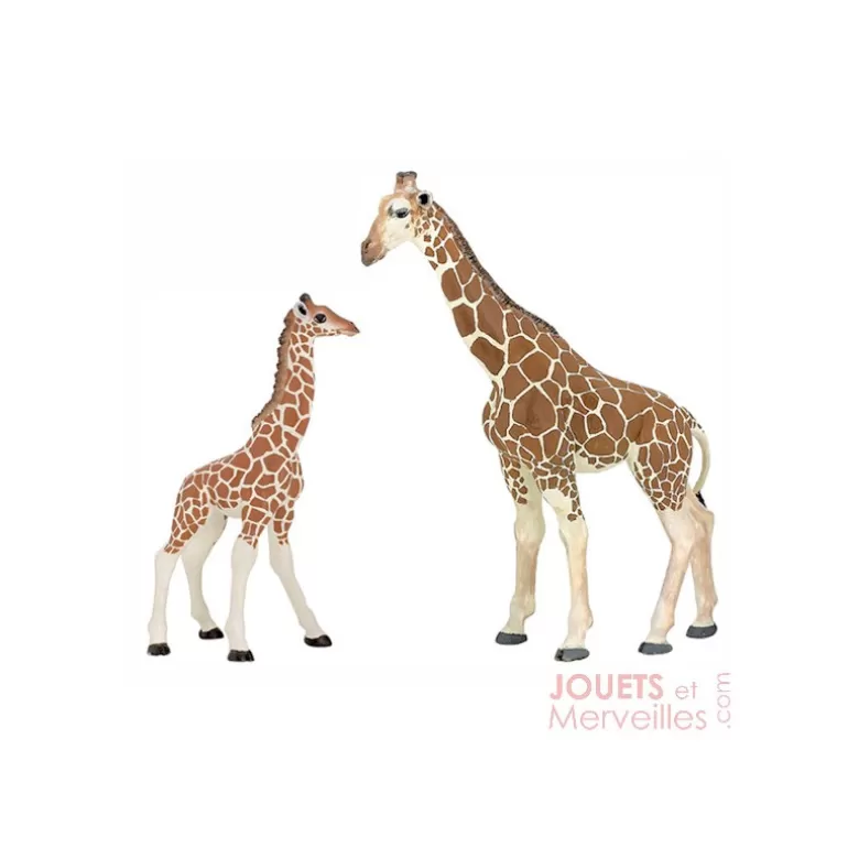 Papo Figurines Papo<Girafon 50100