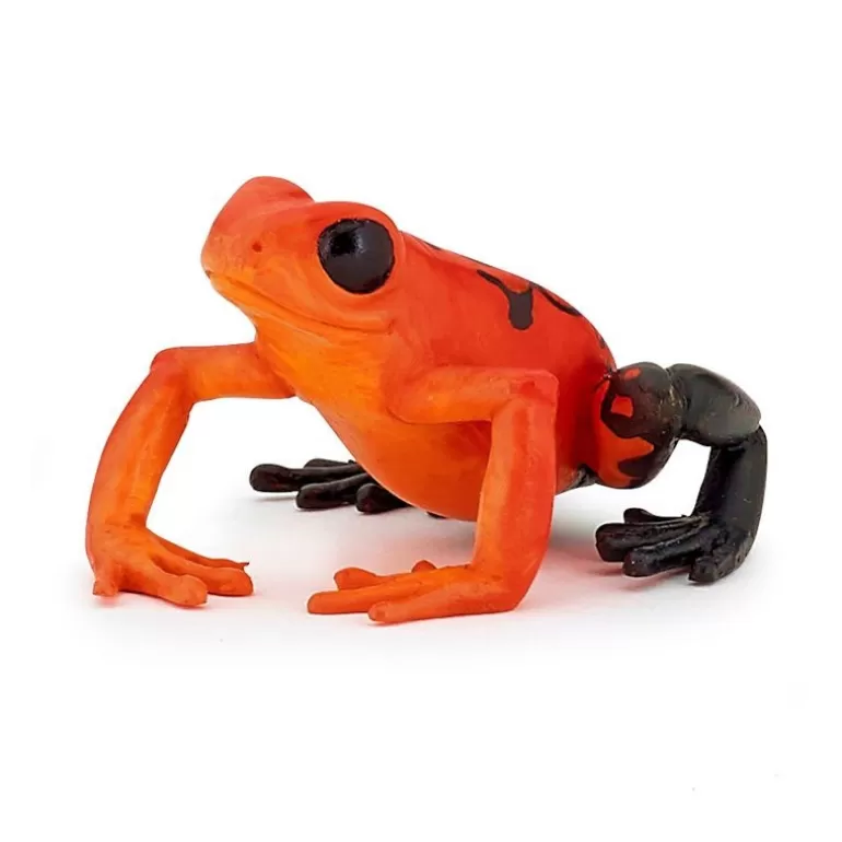 Papo Figurines Papo<Grenouille Equatoriale Rouge, Figurine 50193