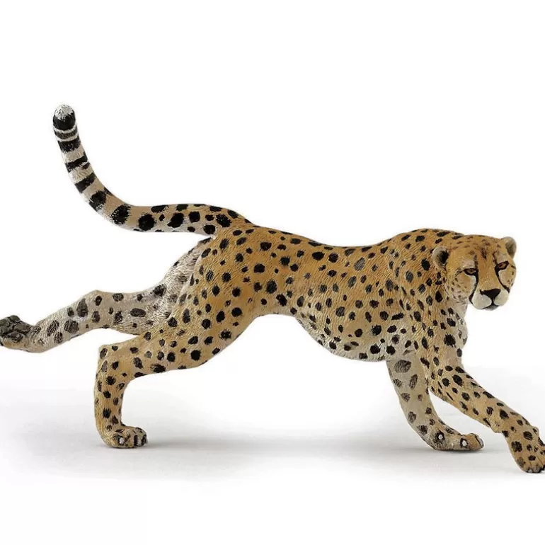 Papo Figurines Papo<Guepard Courant, Figurine 50238