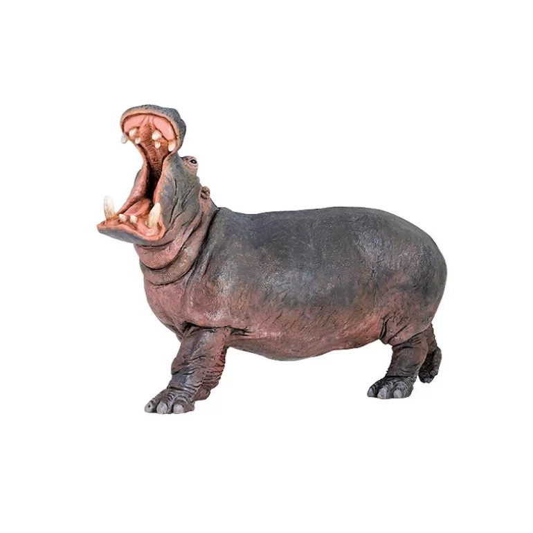 Papo Figurines Papo<Hippopotame 50051