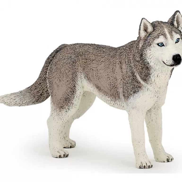 Papo Figurines Papo<Husky De Siberie, Figurine 54035