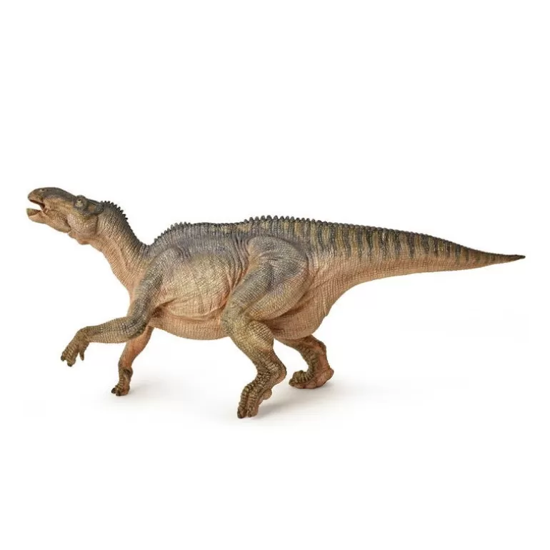 Papo Figurines Papo<Iguanodon, Dinosaure 55071