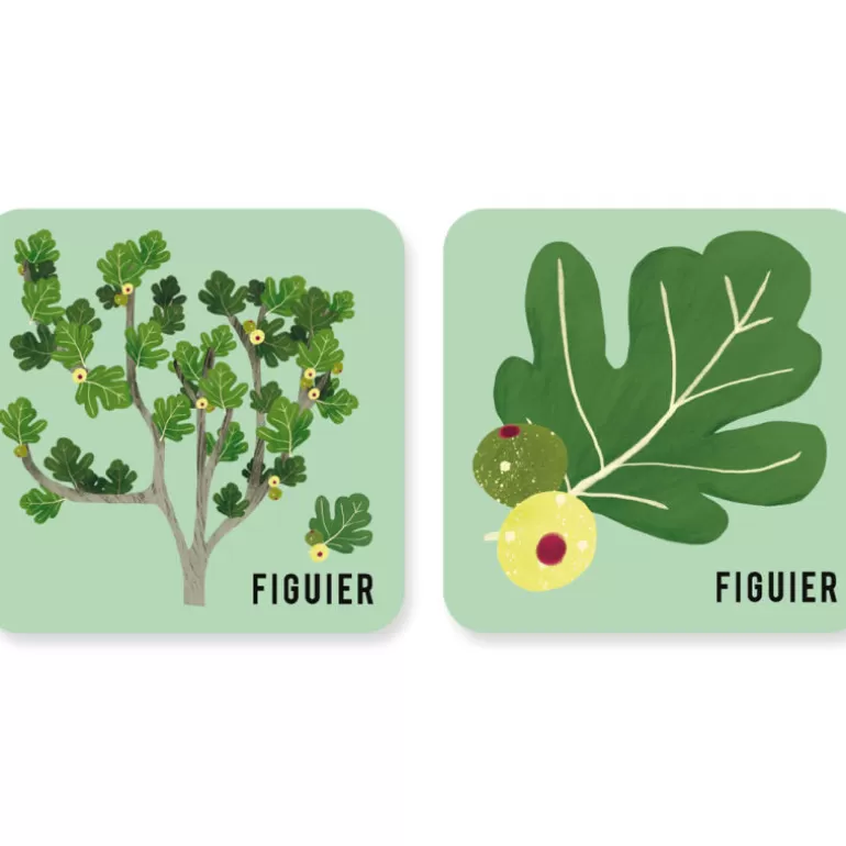 PIROUETTE Cacahouète Jeux Pirouette Cacahouète<Jeu De Memory 'L'Arbre Et Sa Feuille'
