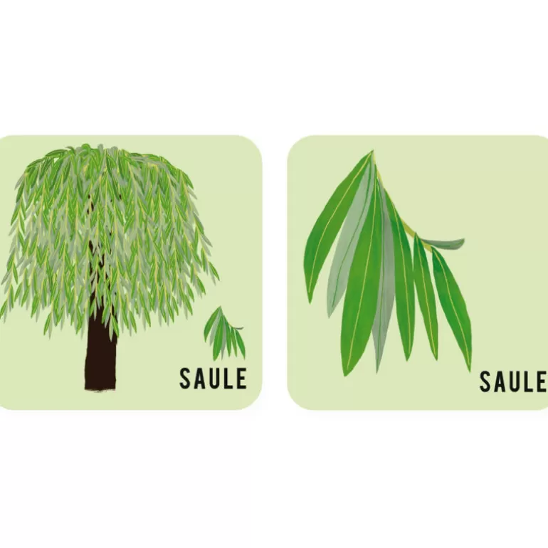 PIROUETTE Cacahouète Jeux Pirouette Cacahouète<Jeu De Memory 'L'Arbre Et Sa Feuille'