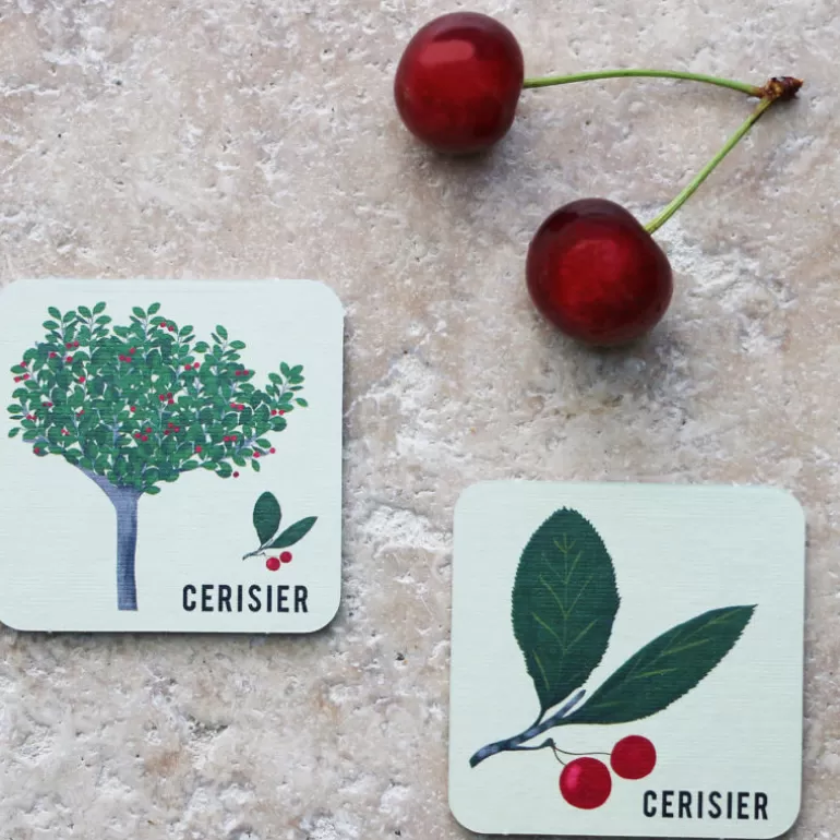 PIROUETTE Cacahouète Jeux Pirouette Cacahouète<Jeu De Memory 'L'Arbre Et Sa Feuille'