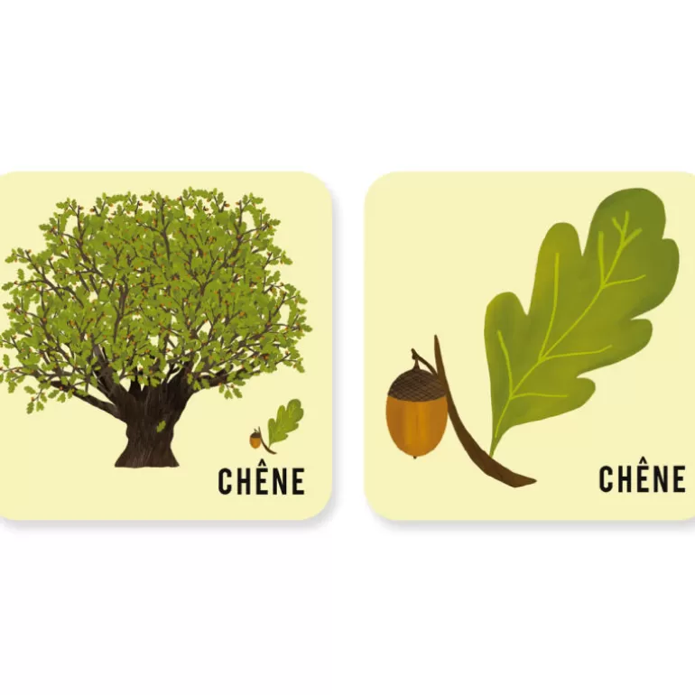 PIROUETTE Cacahouète Jeux Pirouette Cacahouète<Jeu De Memory 'L'Arbre Et Sa Feuille'