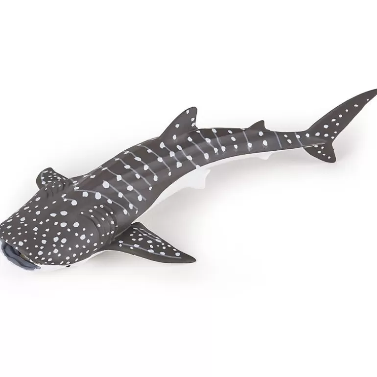 Papo Figurines Papo<Jeune Requin Baleine, Figurine 56046