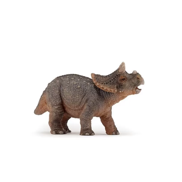 Papo Figurines Papo<Jeune Triceratops, Dinosaure 55036