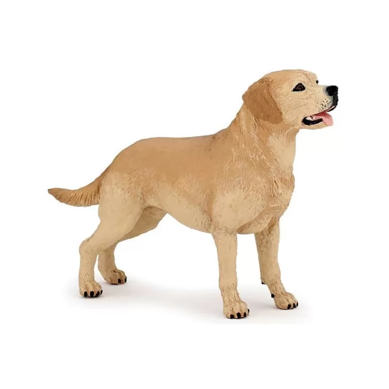 Papo Figurines Papo<Labrador, Figurine 54029