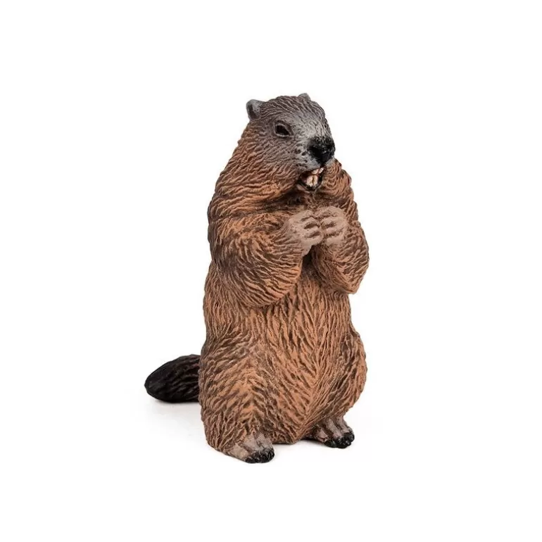 Papo Figurines Papo<Marmotte 50128