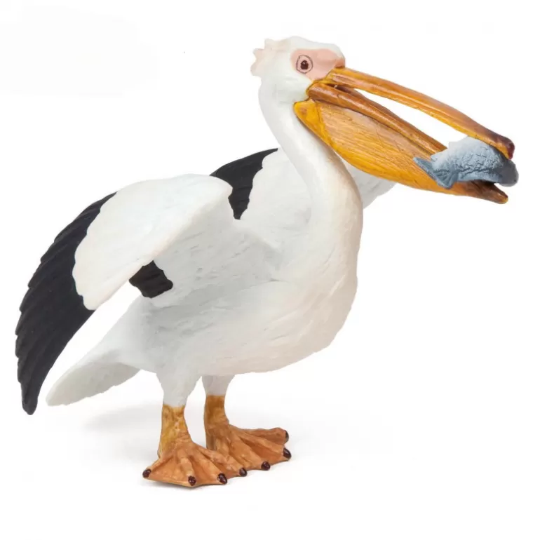 Papo Figurines Papo<Pelican, Figurine 56009