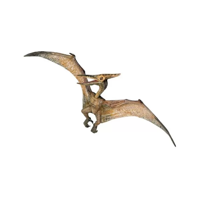 Papo Figurines Papo<Pteranodon, Dinosaure 55006