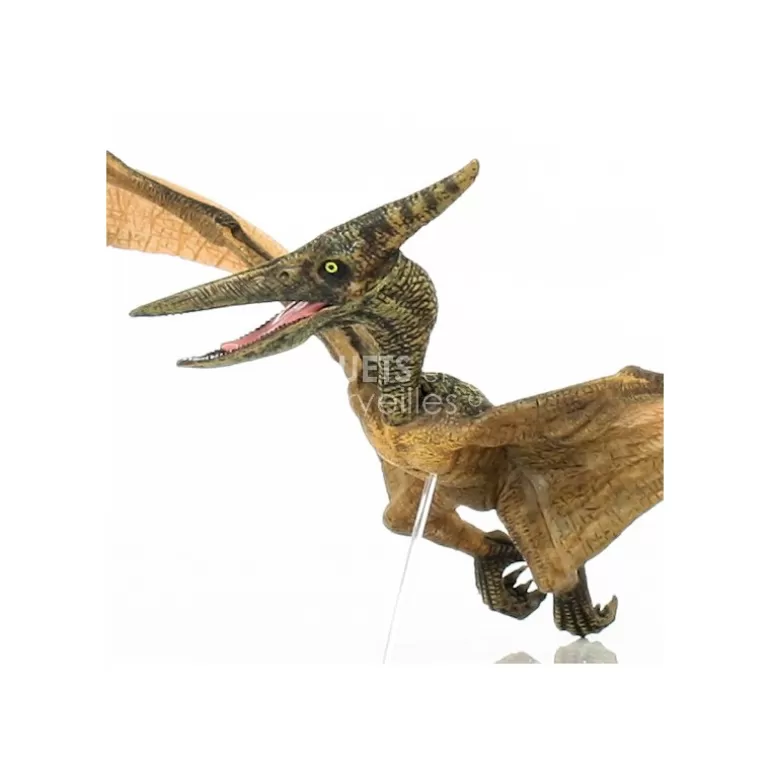 Papo Figurines Papo<Pteranodon, Dinosaure 55006