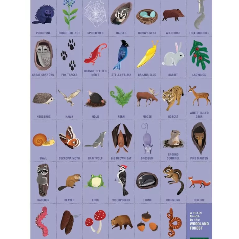 Mudpuppy Puzzles Dès 5 Ans, 54 Pcs<Puzzle 'Cherche & Trouve' Animaux De La Foret 64 Pcs