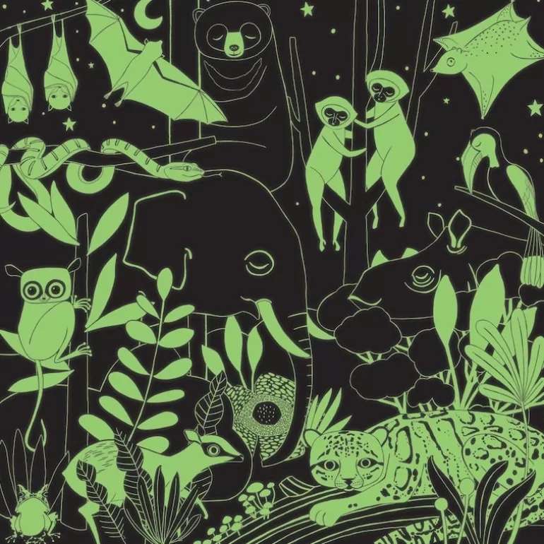 Mudpuppy Puzzles Dès 8 Ans, 500 Pcs Et +<Puzzle Qui Brille Dans Le Noir "Jungle" 500 Pcs