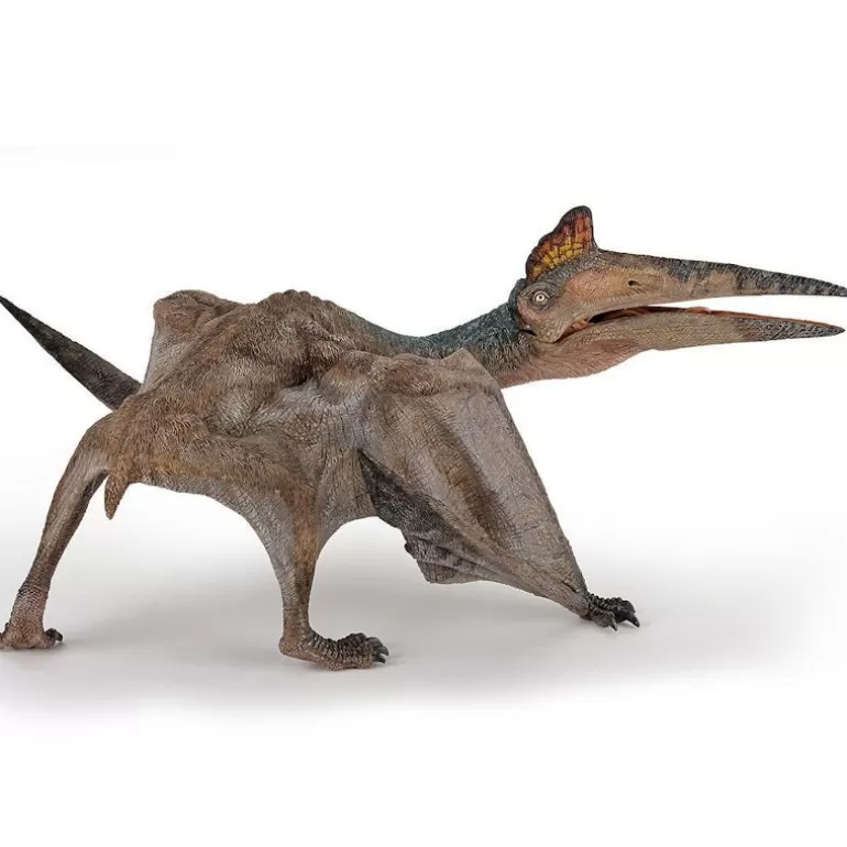 Papo Figurines Papo<Quetzalcoatlus, Dinosaure 55073