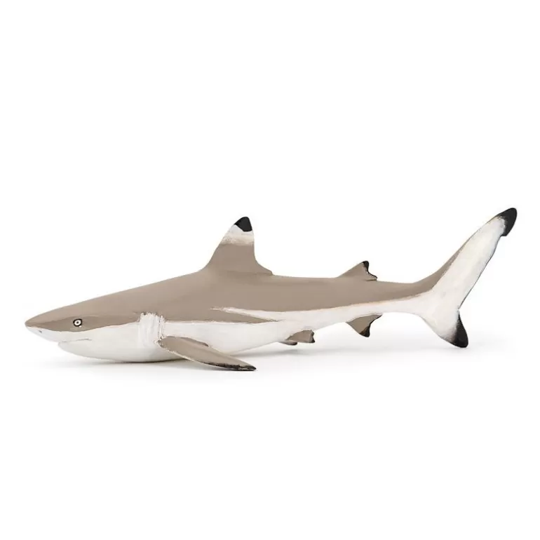 Papo Figurines Papo<Requin A Pointes Noires, Figurine 56034