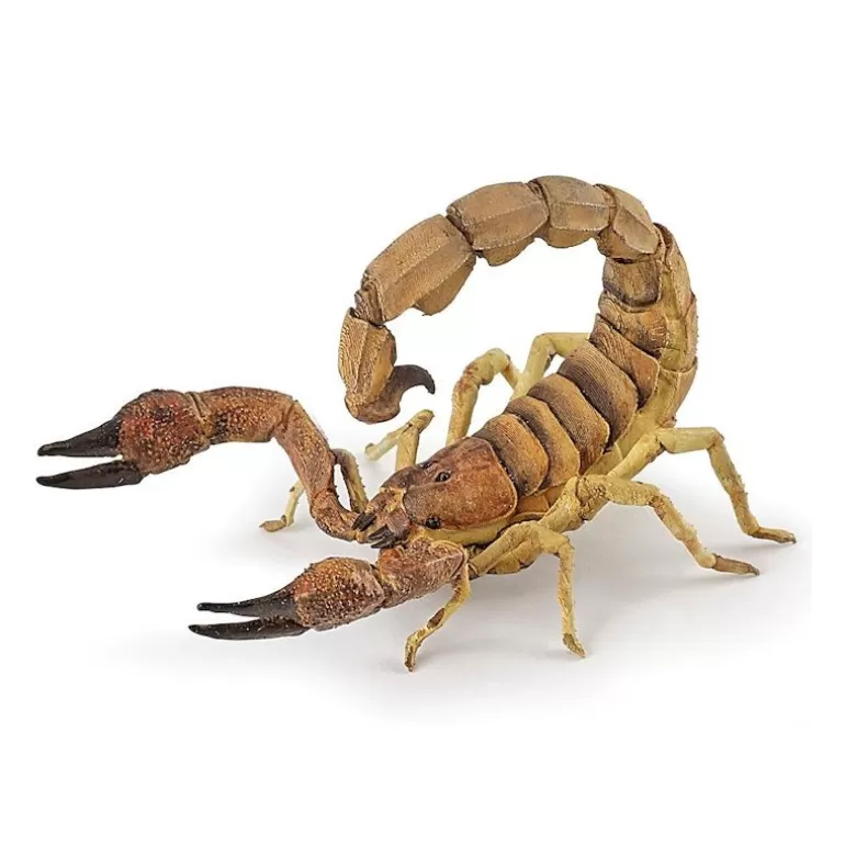 Papo Figurines Papo<Scorpion, Figurine 50209