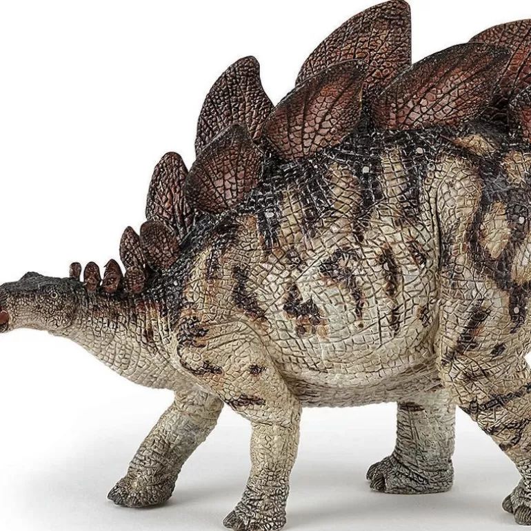 Papo Figurines Papo<Stegosaure, Dinosaure 55079