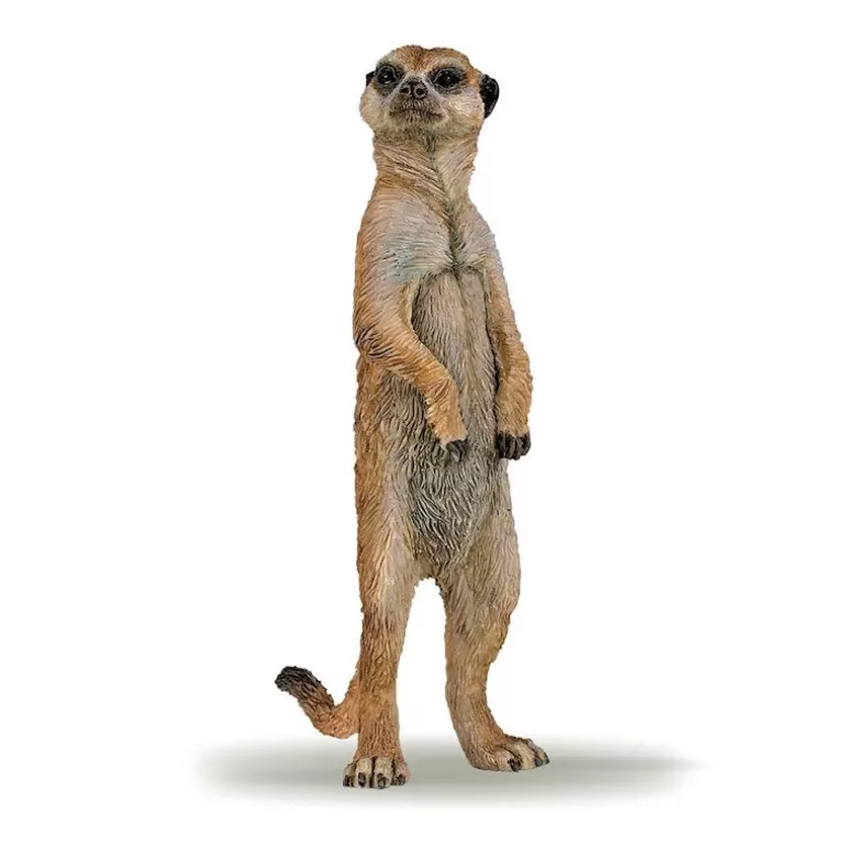 Papo Figurines Papo<Suricate Debout, Figurine 50206