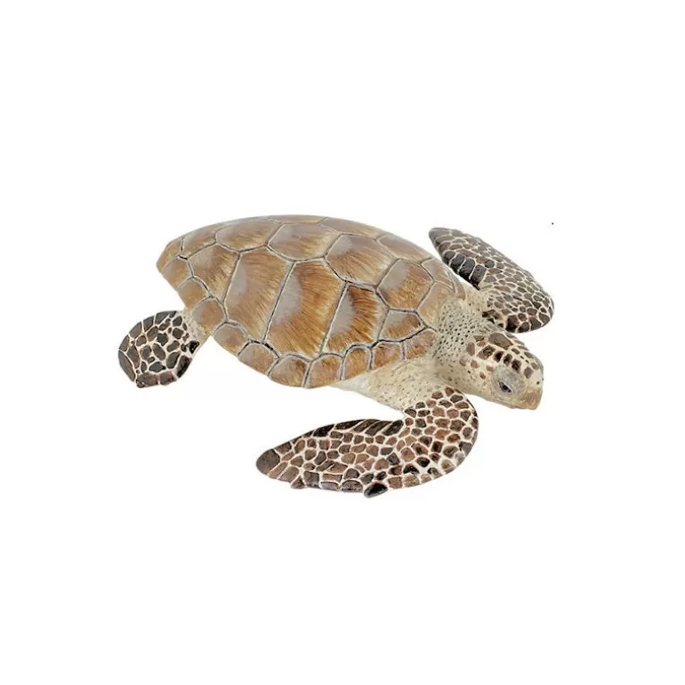 Papo Figurines Papo<Tortue Caouanne, Figurine 56005