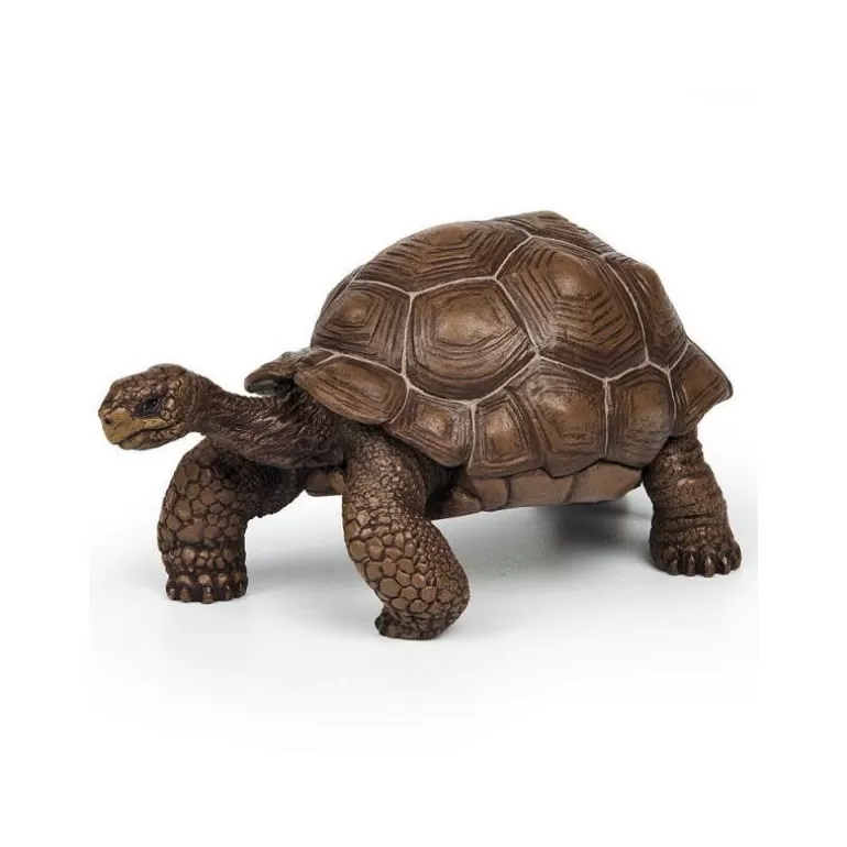 Papo Figurines Papo<Tortue Des Galapagos 50161