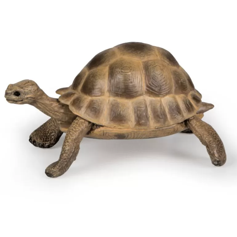 Papo Figurines Papo<Tortue D'Hermann, Figurine 50264