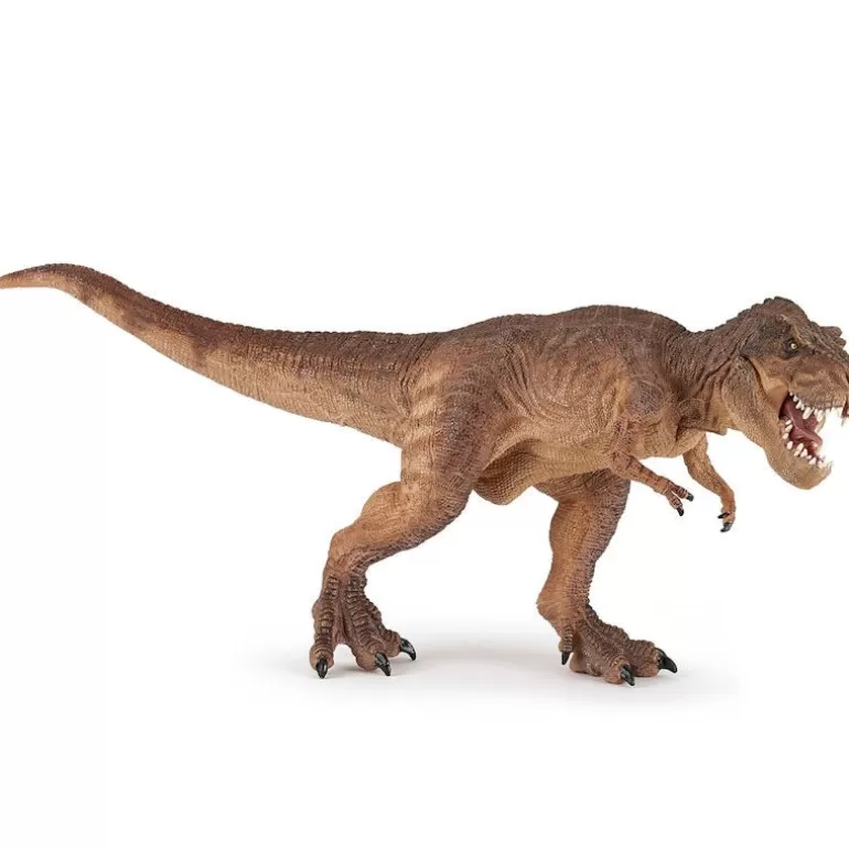 Papo Figurines Papo<T-Rex Courant Marron 55075