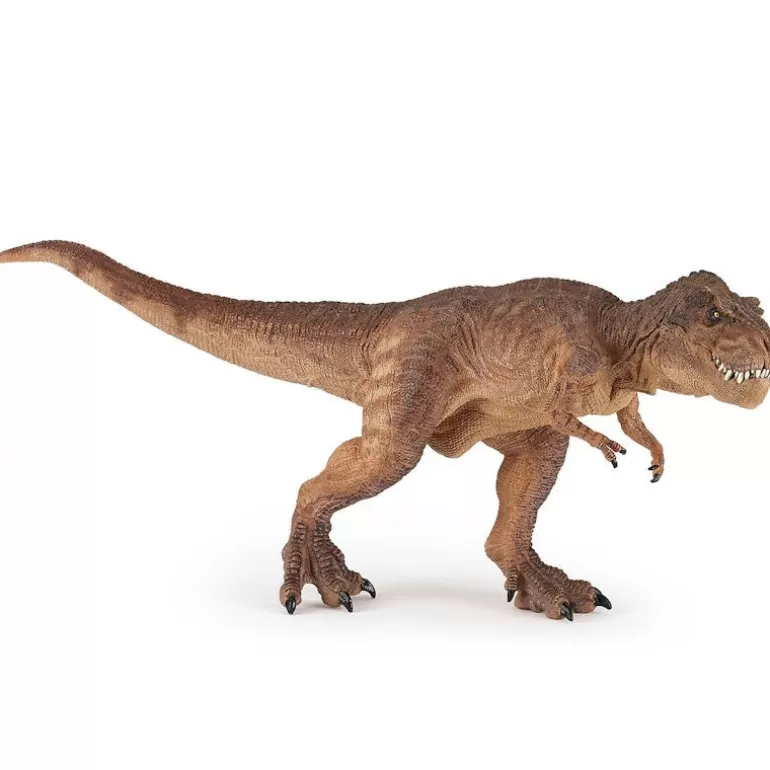 Papo Figurines Papo<T-Rex Courant Marron 55075