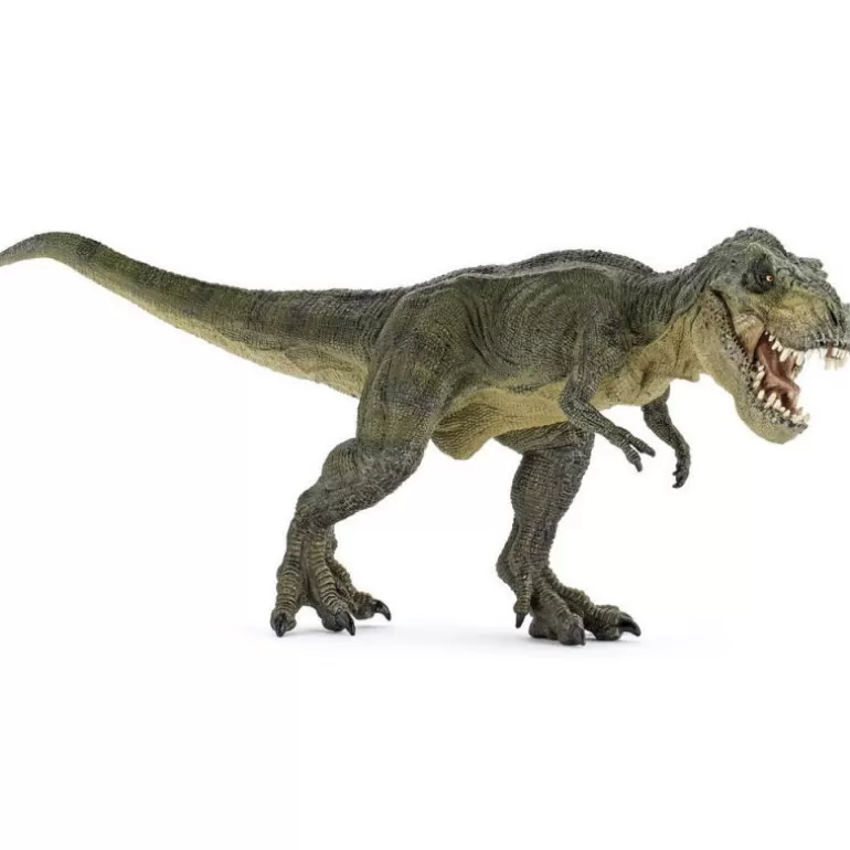 Papo Figurines Papo<T-Rex Courant Vert 55027