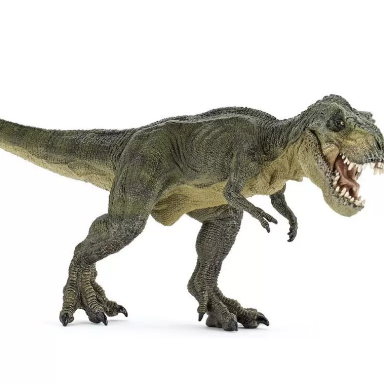 Papo Figurines Papo<T-Rex Courant Vert 55027