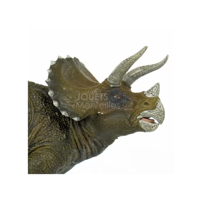 Papo Figurines Papo<Triceratops, Dinosaure 55002