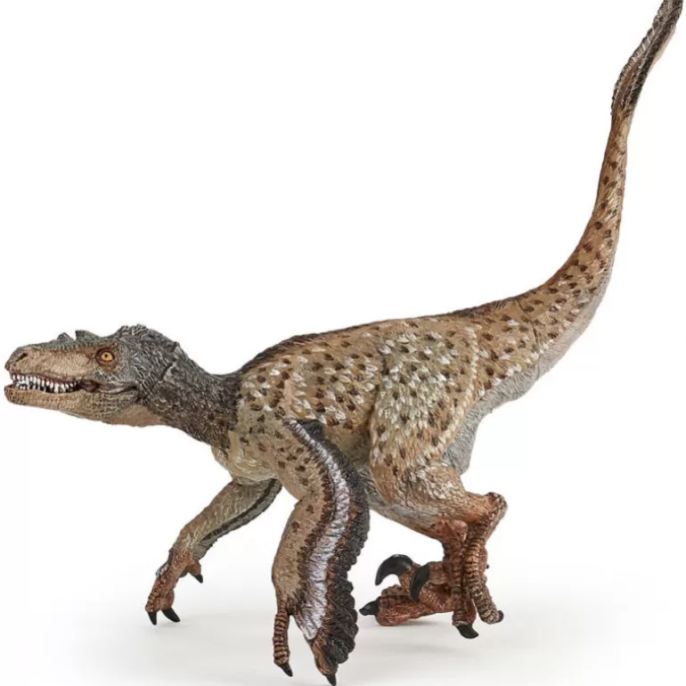 Papo Figurines Papo<Velociraptor A Plumes, Dinosaure 55086